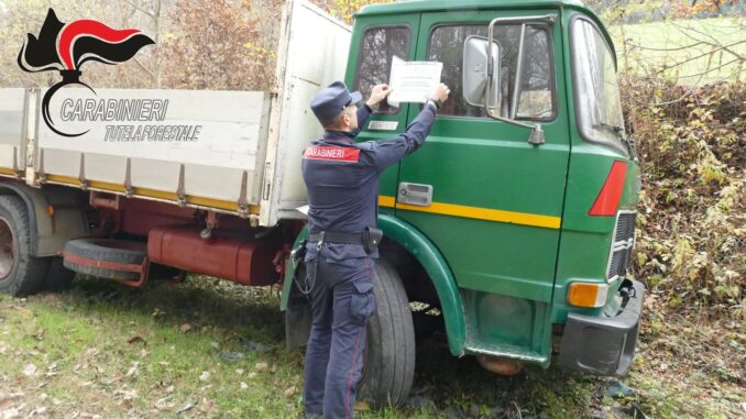 Bozza automatica 799