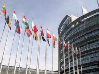 Sei stage retribuiti per universitari e neolaureati a Bruxelles