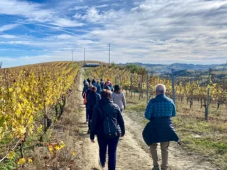 Con Salute in piazza l’Asl Cn2 ha incontrato i cittadini nei paesi: la sanità si progetta insieme 9