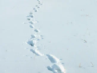 Allerta gialla marted&igrave; 16 dicembre per neve a bassa quota e rischio idrogeologico sul basso Piemonte