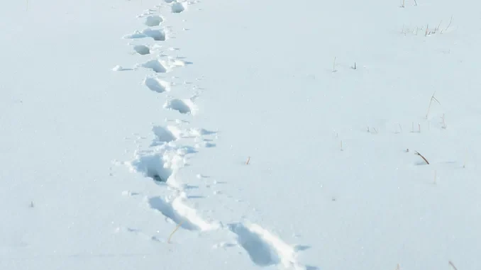 Allerta gialla marted&igrave; 16 dicembre per neve a bassa quota e rischio idrogeologico sul basso Piemonte