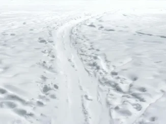 Allerta gialla per la neve: precipitazioni su colline e montagne fino a martedì 23