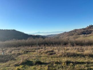 Un albero per scuola: con Wild life protection nasce un&rsquo;oasi in Langa
