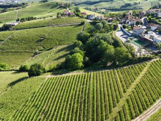 Nascerà un'oasi naturale tra i fila