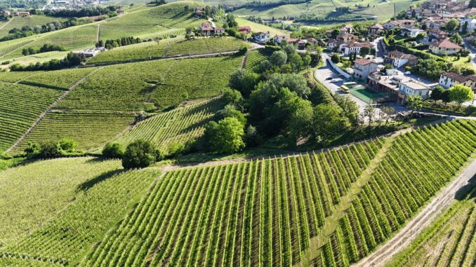 Nascer&agrave; un'oasi naturale tra i fila