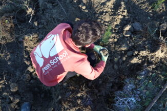 Un albero per scuola: con Wild life protection nasce un&rsquo;oasi in Langa 3