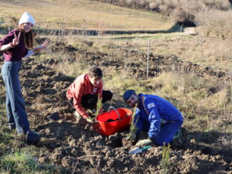 Un albero per scuola: con Wild life protection nasce un’oasi in Langa 4