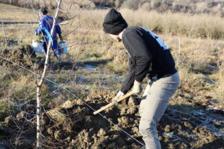 Un albero per scuola: con Wild life protection nasce un&rsquo;oasi in Langa 5