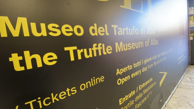 Il Mudet chiuso fino a marzo, per Bolla «ci saranno danni all'offerta locale e ai lavoratori del museo»