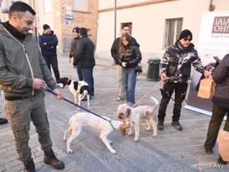 A Canale il 16&deg; raduno nazionale dei trifulau e dei tabui