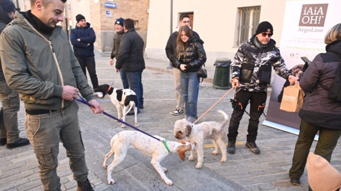 A Canale il 16&deg; raduno nazionale dei trifulau e dei tabui