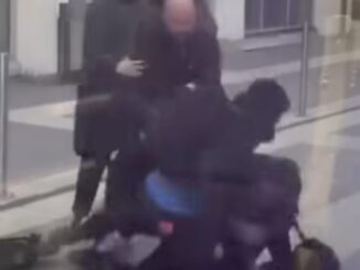 Bra / Il video dell'aggressione al capotreno. Salvini: «Non è accettabile»