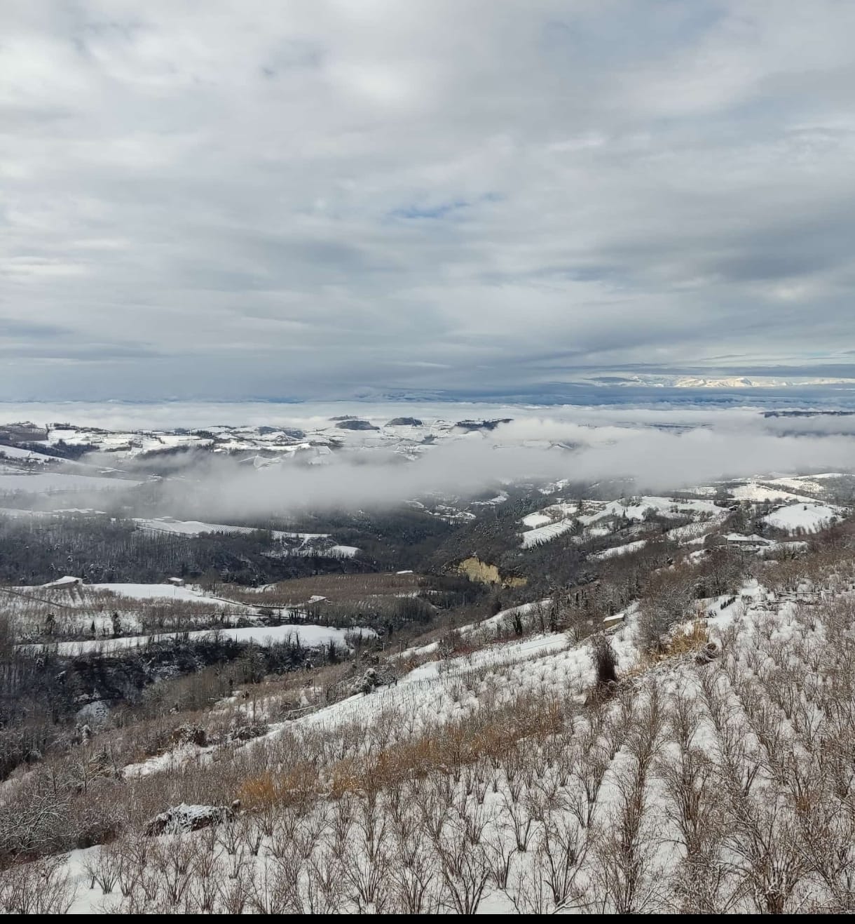 Neve in Langa e Roero: il bilancio dei disagi e le previsioni [foto]