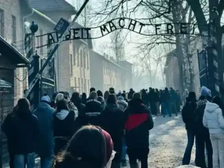 La Rete cuneese della Palestina: oggi il Treno della memoria dovrebbe arrivare anche nel presente, a Gaza