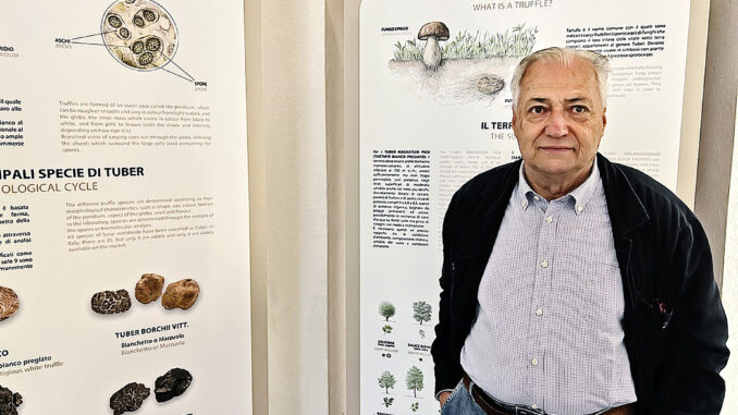 Il bilancio di Antonio Degiacomi: «Questo è un buon mese: trifole meno care ma di qualità»