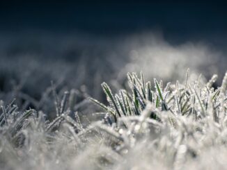 Il grande freddo in Piemonte si attenua [le previsioni] 1