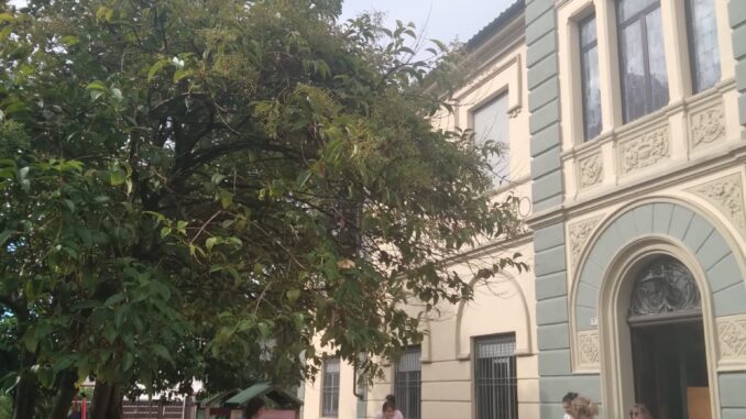 La decisione: l'asilo del Mussotto gestito da Emmaus alla fine chiuderà [il podcast]