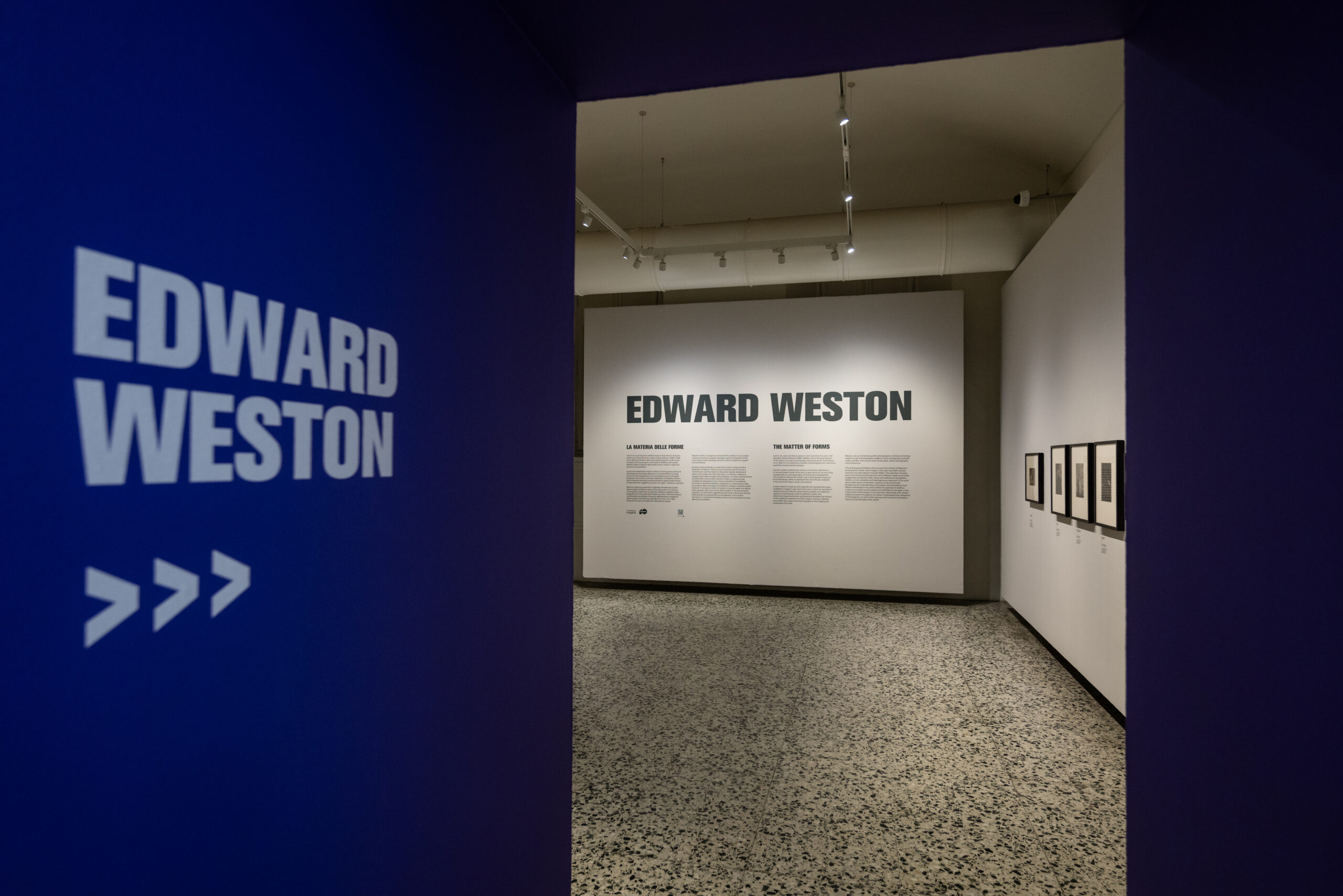 La rivoluzione dello sguardo: Edward Weston a Torino 6