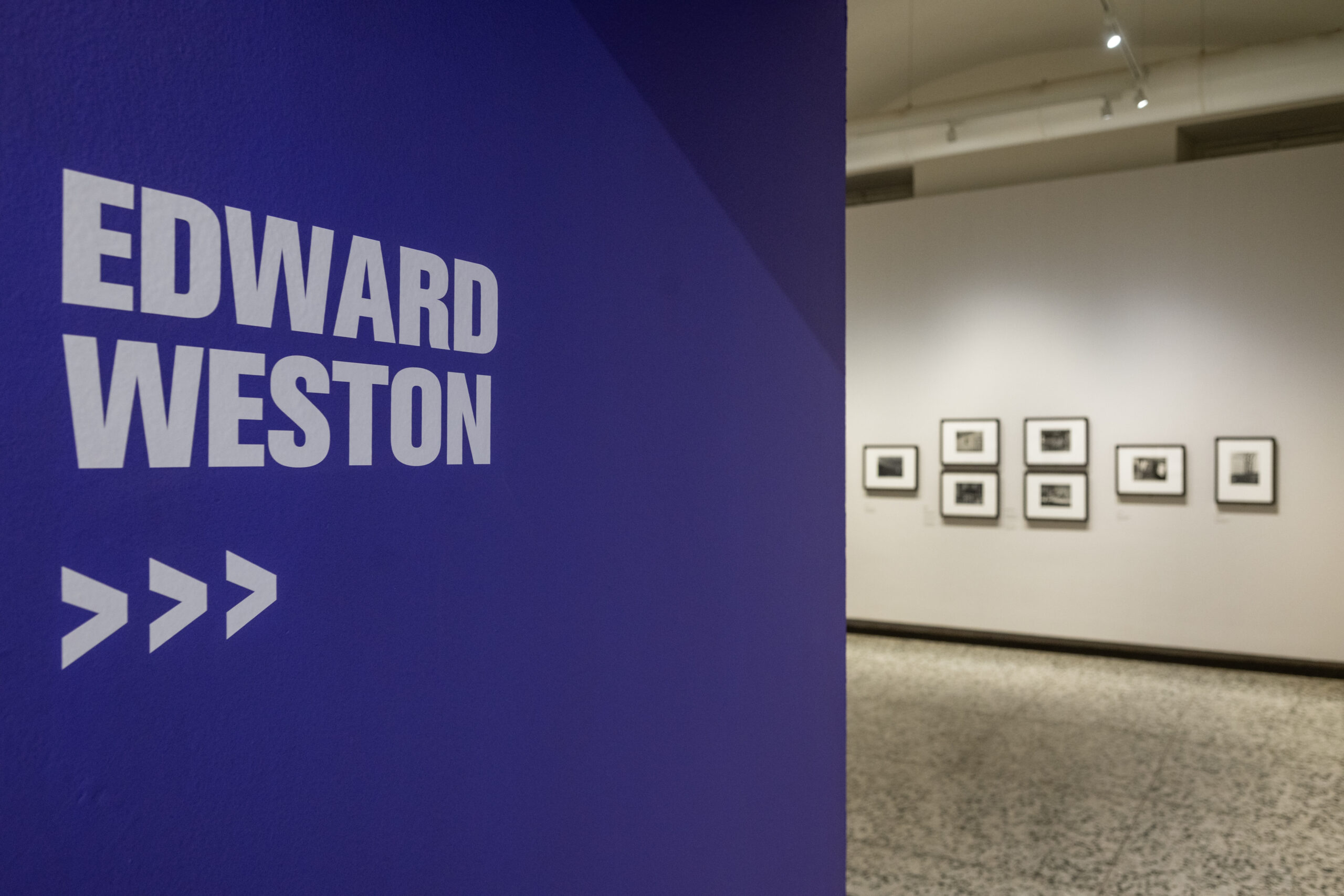 La rivoluzione dello sguardo: Edward Weston a Torino 8