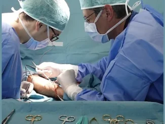 All’ospedale di Verduno si usa una bioprotesi bovina per la creazione di accessi vascolari nei pazienti dializzati