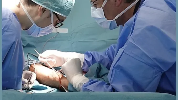 All’ospedale di Verduno si usa una bioprotesi bovina per la creazione di accessi vascolari nei pazienti dializzati