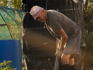 La nuova mostra dei ragazzi dell'artistico Gallizio: l'Alba che vive ai margini