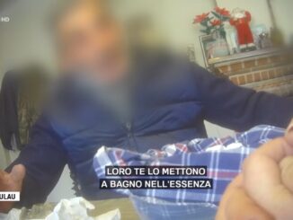 Da dove arriva il tartufo venduto ad Alba?  L'indagine di Report [video] 2