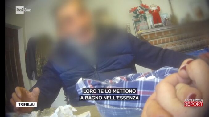 Da dove arriva il tartufo venduto ad Alba?  L'indagine di Report [video] 2