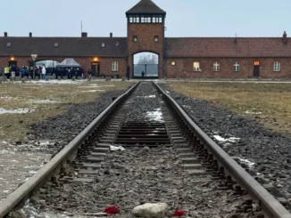 Viaggio della Memoria: 466 studenti delle superiori albesi ad Auschwitz e Cracovia 2