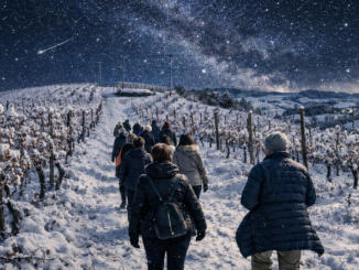 A Perletto la camminata &egrave; sotto le stelle