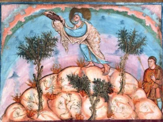 Pensiero per domenica / Gesù ebreo, osservante della legge senza scorciatoie