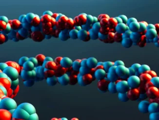 C'&egrave; il suo Dna sulla borsa del supermercato che contiene la droga sequestrata: uomo condannato a 7 anni e 6 mesi