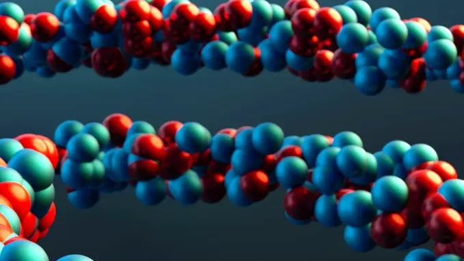 C'&egrave; il suo Dna sulla borsa del supermercato che contiene la droga sequestrata: uomo condannato a 7 anni e 6 mesi