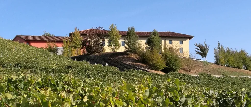 Anche il Corso di laurea in viticoltura ed enologia sarà al Vinitaly