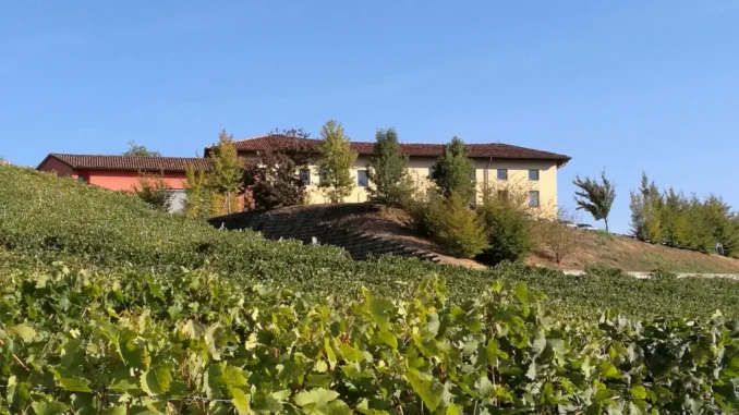 Anche il Corso di laurea in viticoltura ed enologia sarà al Vinitaly