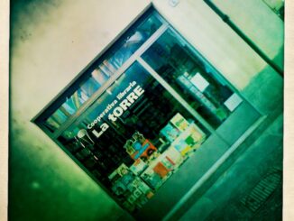 I primi 50 anni della cooperativa La Torre, presidio di cultura del territorio 8