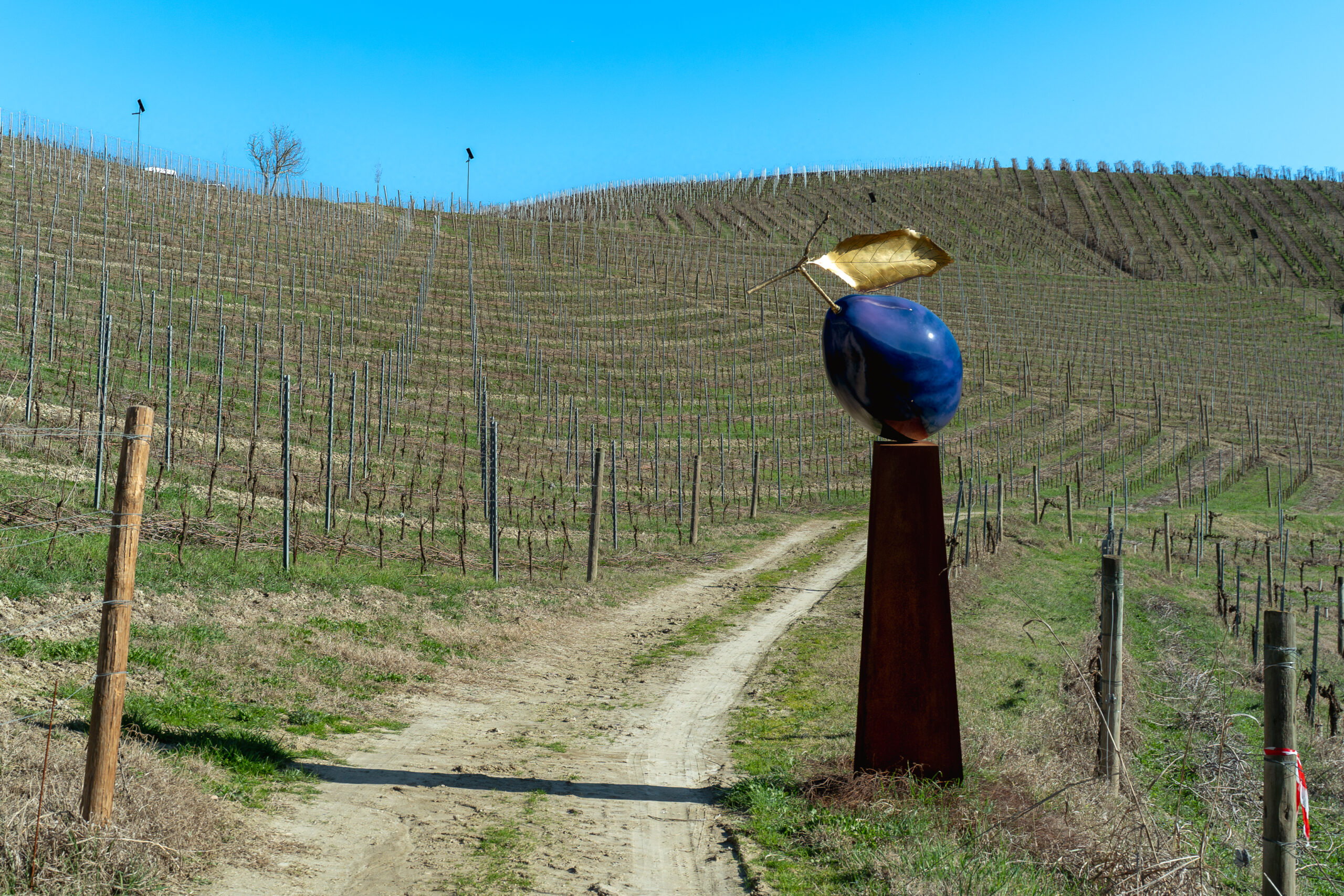 Il Barolo 2022 di Fontanafredda è nel segno della tenacia