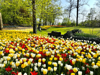 Al castello di Pralormo è tempo di Me