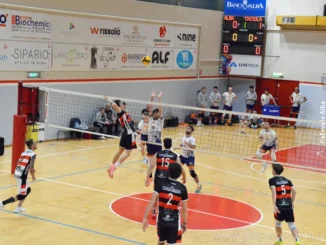 Pallavolo / Serie D maschile - Mercat&ograve; Alba sbatte contro il Chisola