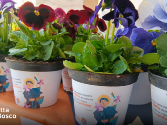 A Bra torna &ldquo;La Violetta di Don Bosco&rdquo;