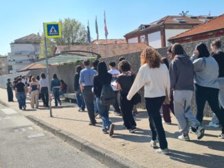 AlbAttiva: gli studenti ripensano lo spazio pubblico 1