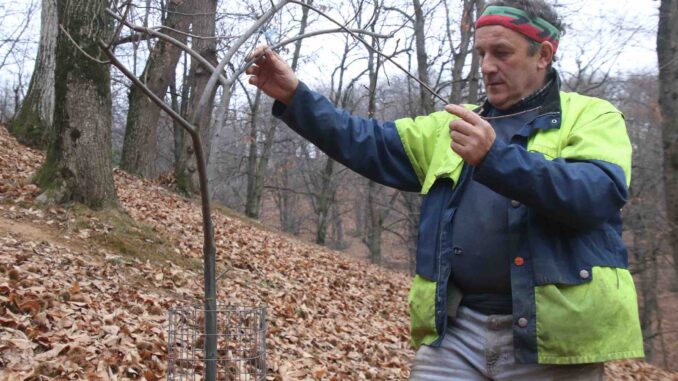 Castagna Cuneo Igp: Bellone guida il Consorzio