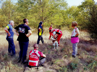 Alba: passeggiata a 6 zampe tra natura e solidarietà