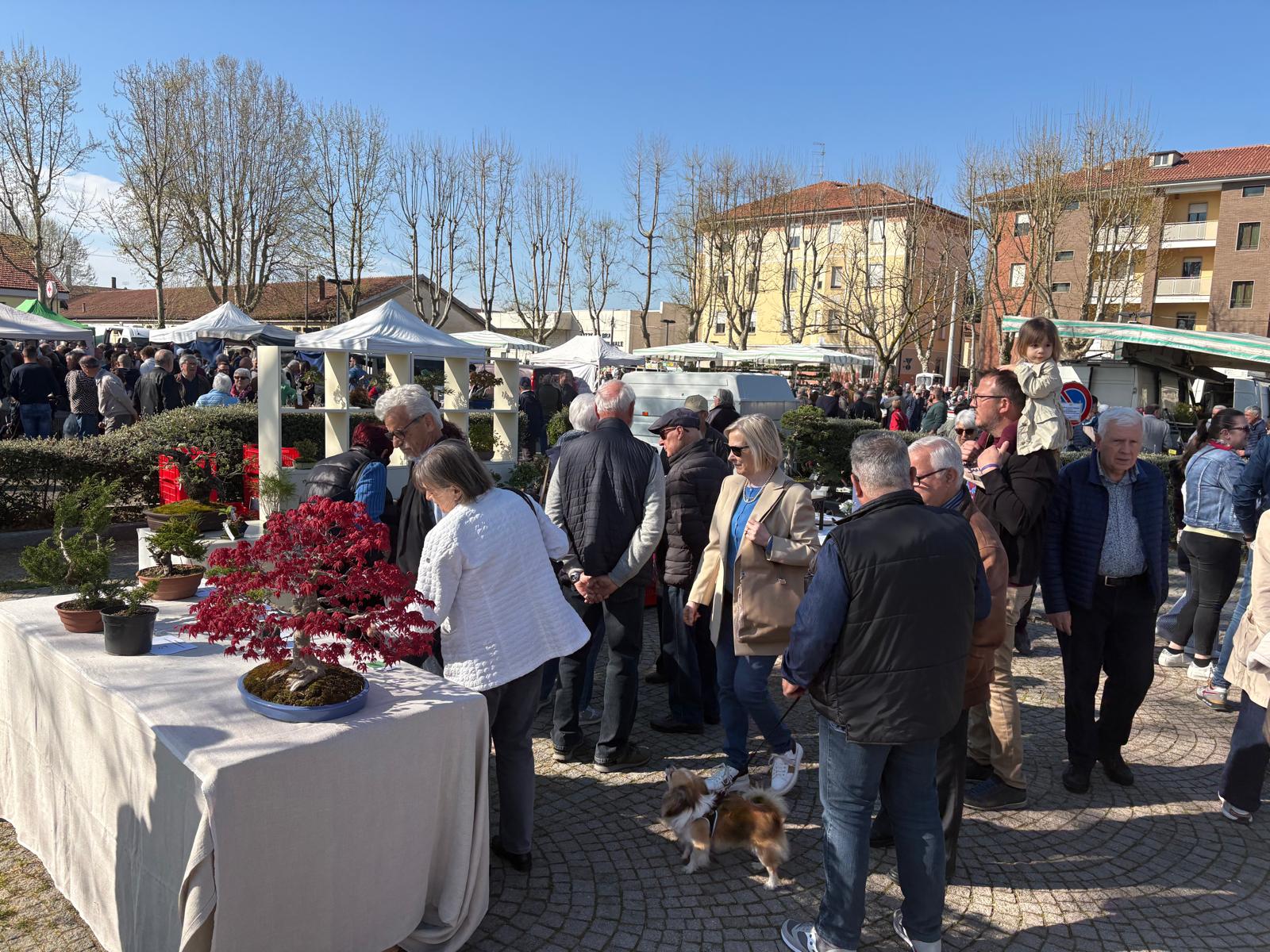 Bra: Pasquetta di festa tra fiera e tradizione 18