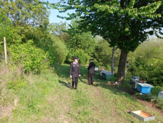 Cossombrato: due cadaveri nelle campagne, indagini in corso
