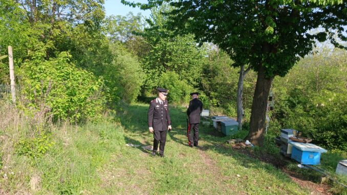 Cossombrato: due cadaveri nelle campagne, indagini in corso