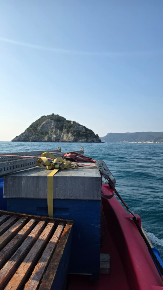 Le api della Valle Uzzone creano a Bergeggi il Miele del mare 2