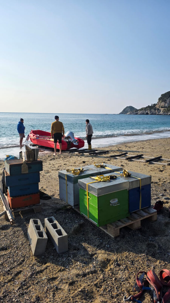 Le api della Valle Uzzone creano a Bergeggi il Miele del mare 1