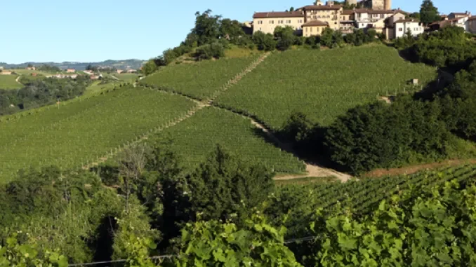 Il film Il diavolo veste Prada 2 ha scelto il Barolo per rappresentare la convivialit&agrave; e il buon vivere