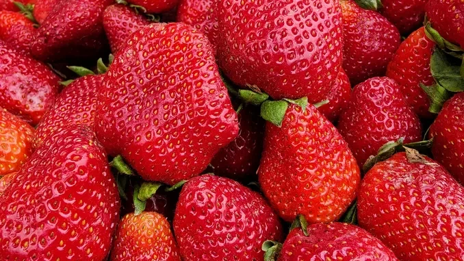 A Monteu Roero, il 3 maggio, verr&agrave; ianugurato il Mercato della terra